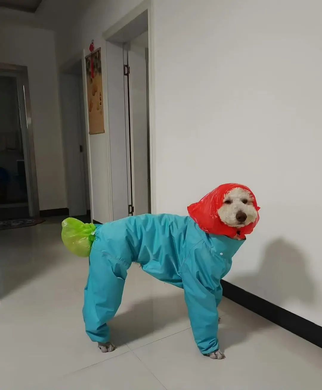 【爆笑】“同事不小心在大群里发了私密照后...” 啊啊啊啊啊啊实在太荒诞了(组图) - 62