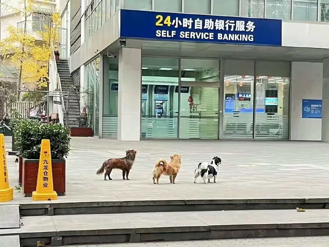 【爆笑】“同事不小心在大群里发了私密照后...” 啊啊啊啊啊啊实在太荒诞了(组图) - 20