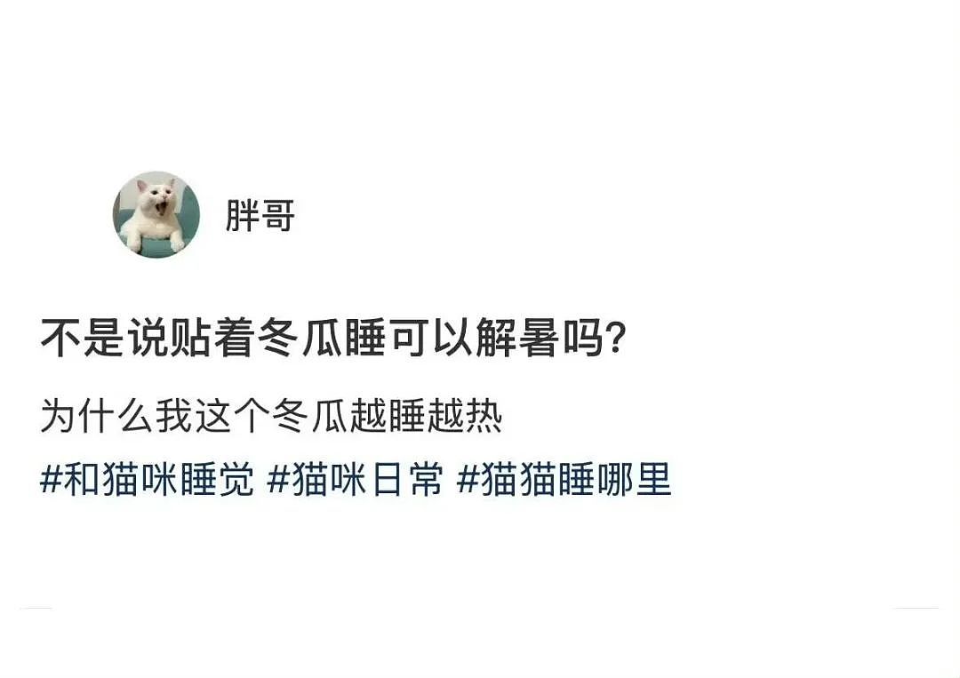 【爆笑】“吐槽甲方不小心发给了本人后......” 哈哈哈哈哈哈真是太机智了（组图） - 40
