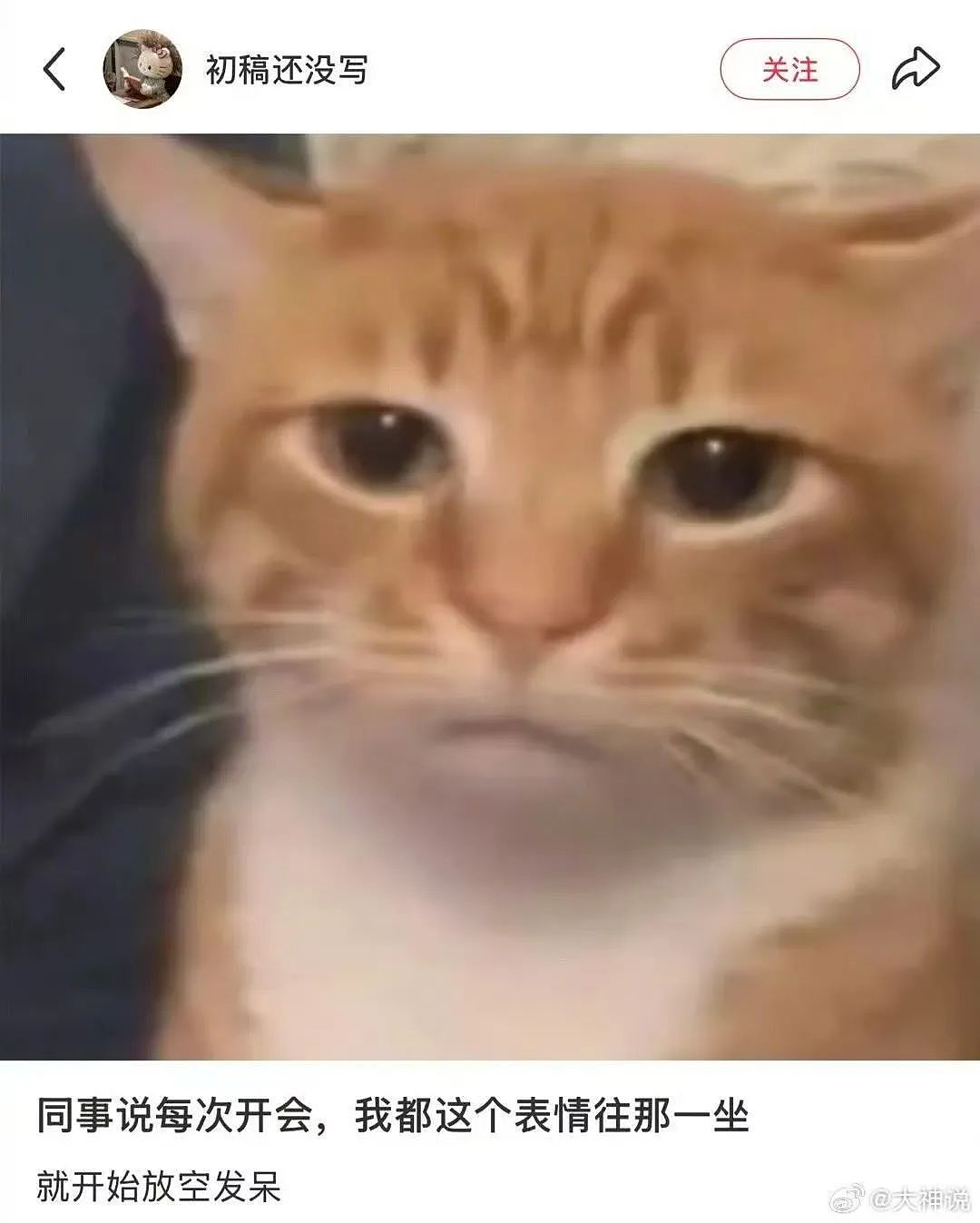【爆笑】“同事不小心在大群里发了私密照后...” 啊啊啊啊啊啊实在太荒诞了(组图) - 11