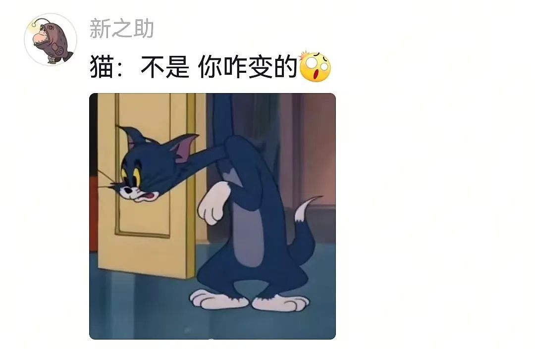 【宠物】狗狗看上了主人的汉堡，使计让主人离开张口就夺走，还贴心把门关上慢慢吃，狗：一点不贪心哦（视频/组图） - 14