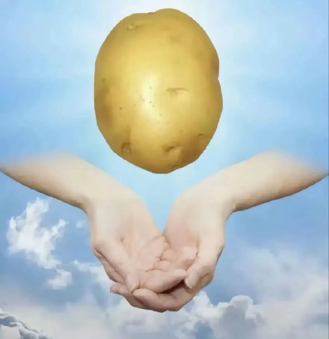 【爆笑】“同事不小心在大群里发了私密照后...” 啊啊啊啊啊啊实在太荒诞了(组图) - 86