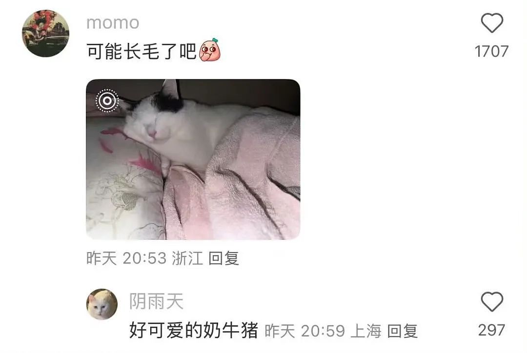 【爆笑】“吐槽甲方不小心发给了本人后......” 哈哈哈哈哈哈真是太机智了（组图） - 42