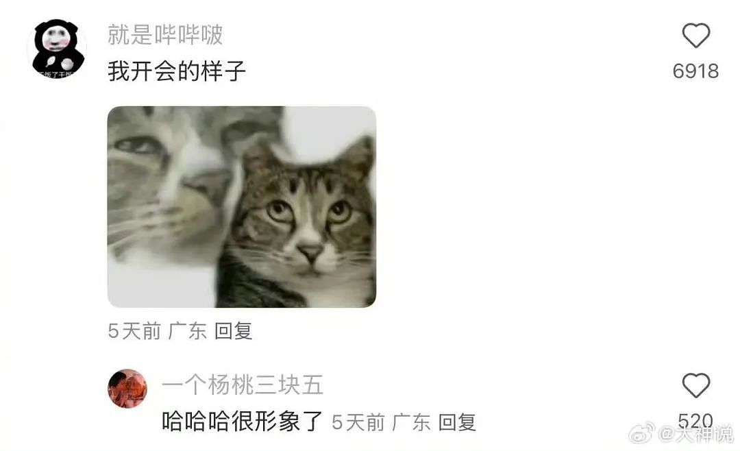 【爆笑】“同事不小心在大群里发了私密照后...” 啊啊啊啊啊啊实在太荒诞了(组图) - 13