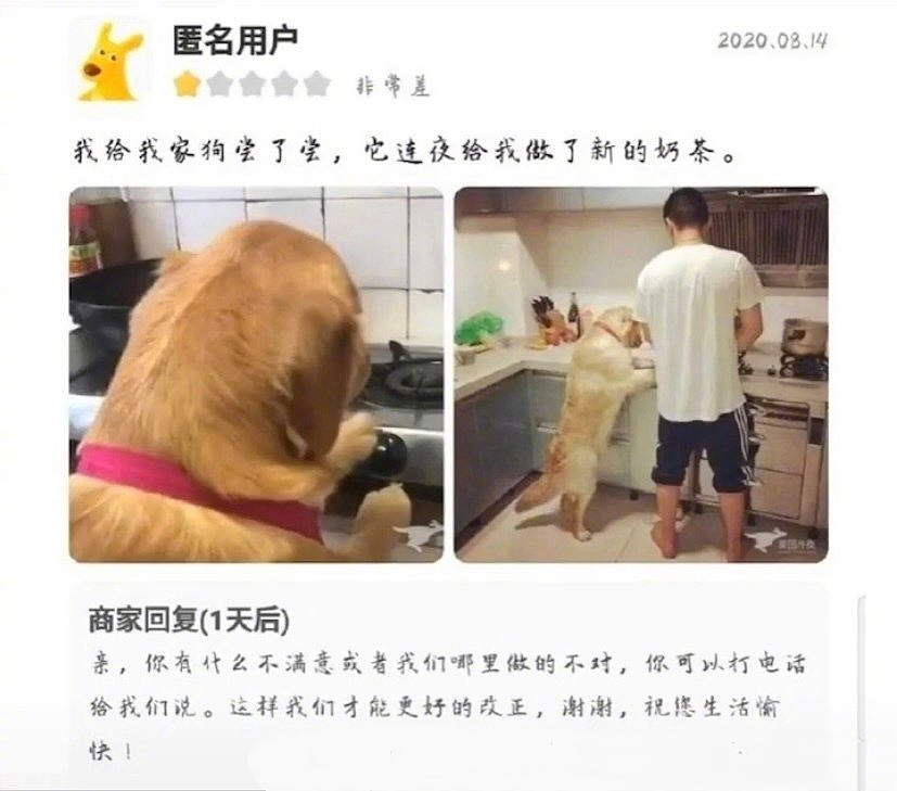 “外卖大战”第1批受害者,住院了(组图) - 43