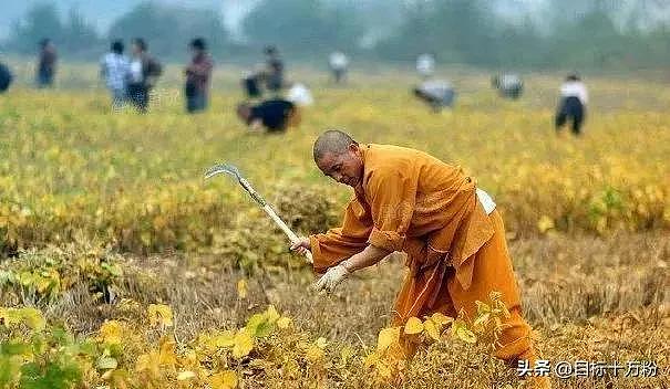 印乐法师的袈裟,释永信四十年都不敢穿,历代高僧如此点评(组图) - 2