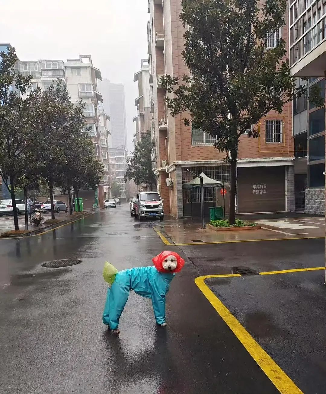 【爆笑】“同事不小心在大群里发了私密照后...” 啊啊啊啊啊啊实在太荒诞了(组图) - 61