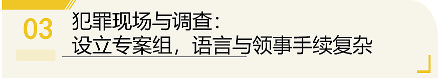 14岁中国女交换生被13岁女生刺死,来澳仅8天,最新细节曝出:13岁女生疑似有精神问题(组图) - 9