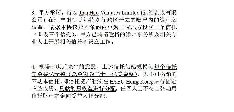 娃哈哈争产才打响:18亿信托绝非终点,杜建英后手恐让宗馥莉难堪(组图) - 4