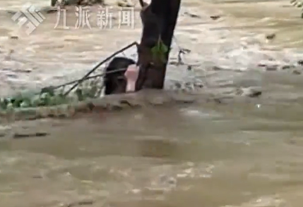 “北京山谷”怎么敢在暴雨天让人露营睡帐篷?(组图) - 3