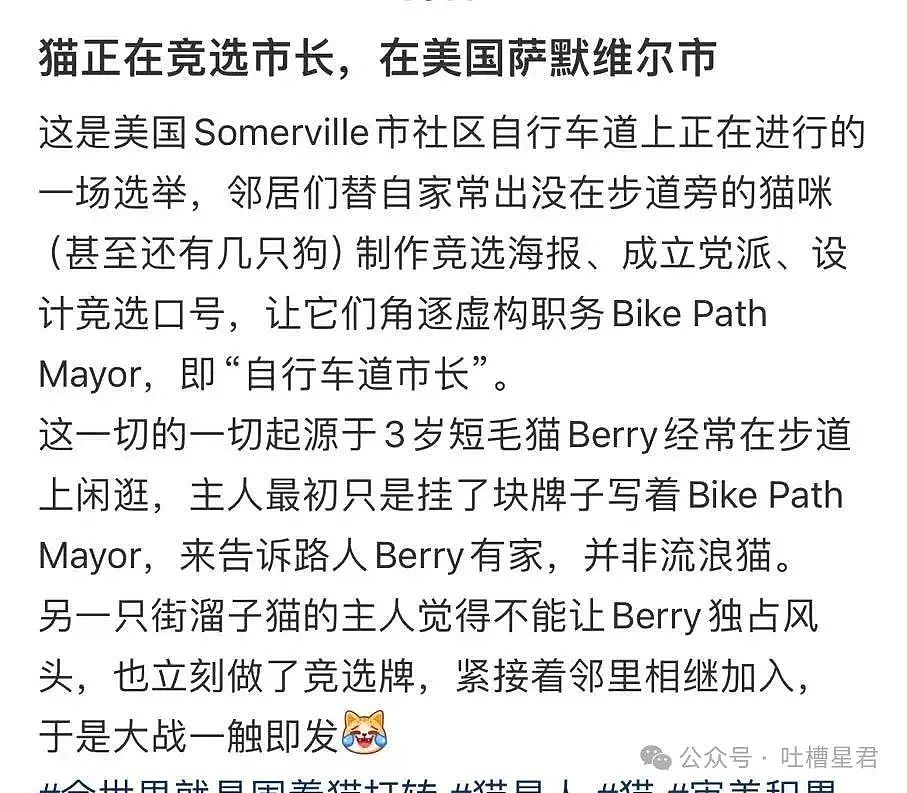 【爆笑】学历改成高中后HR求着我入职…？啊啊啊这就业环境我不李姐（组图） - 34