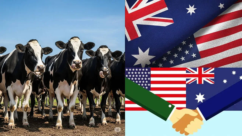硬刚澳洲政府！Coles、WWS、麦当劳接连发声：拒绝美国货！（组图） - 6