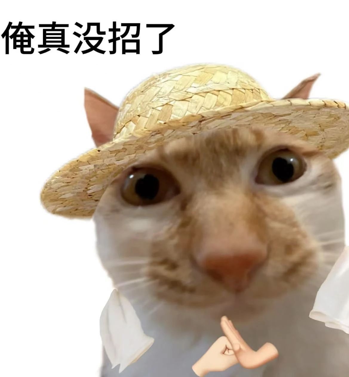 【爆笑】学历改成高中后HR求着我入职…？啊啊啊这就业环境我不李姐（组图） - 1