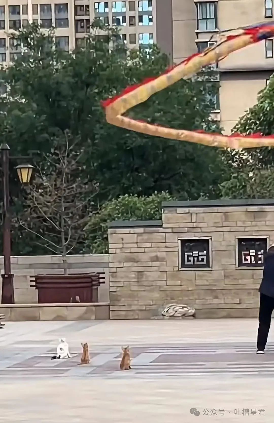 【爆笑】学历改成高中后HR求着我入职…？啊啊啊这就业环境我不李姐（组图） - 43