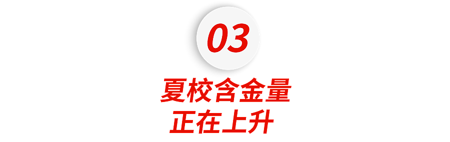 中产父母批量复制“黄多多”!12天花7万上耶鲁夏校,只为吃苦......(组图) - 16