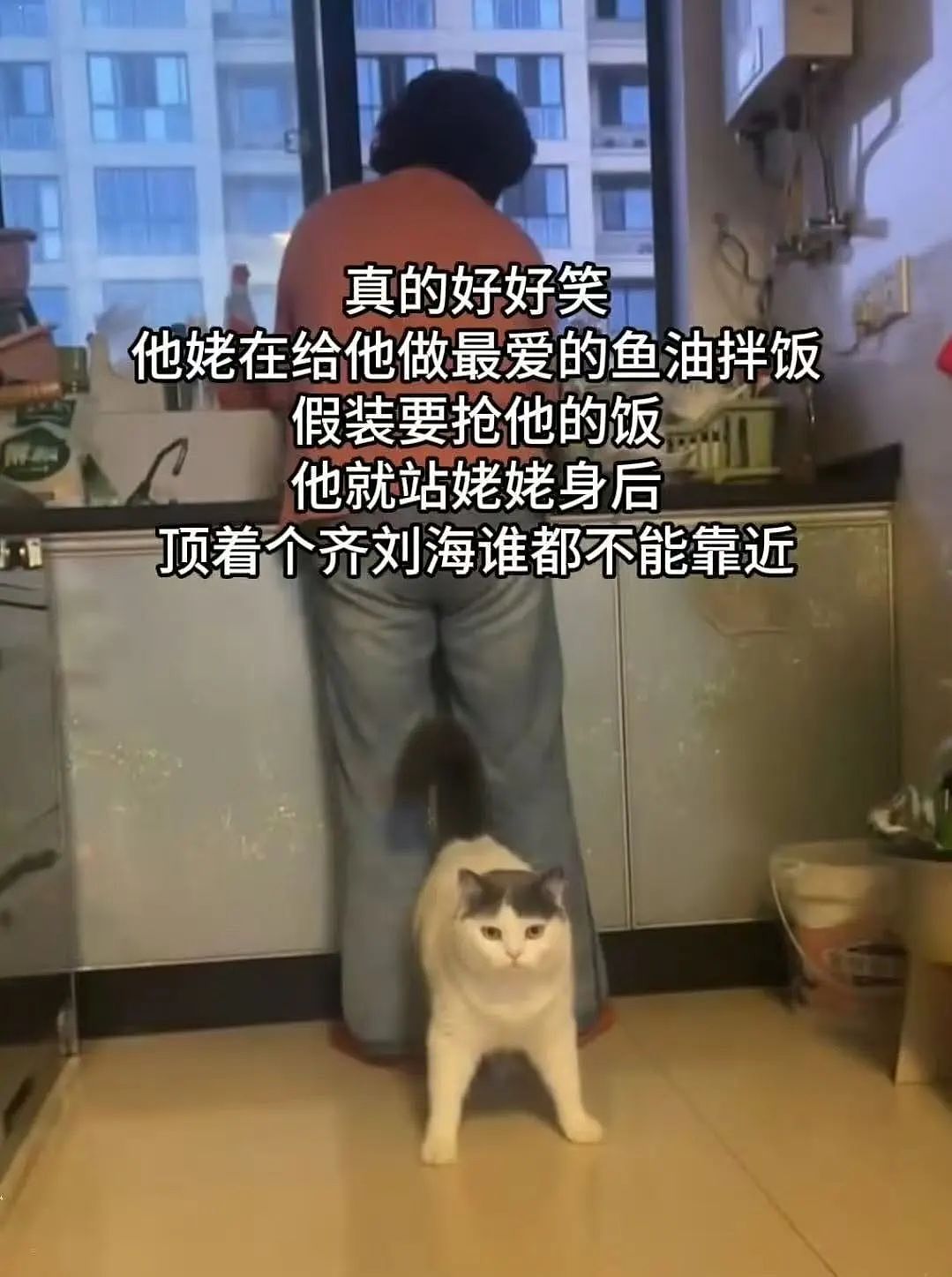 【爆笑】网友制作雨姐恋爱模拟器…？啊啊啊谁懂这个游戏的诡异程度（组图） - 40