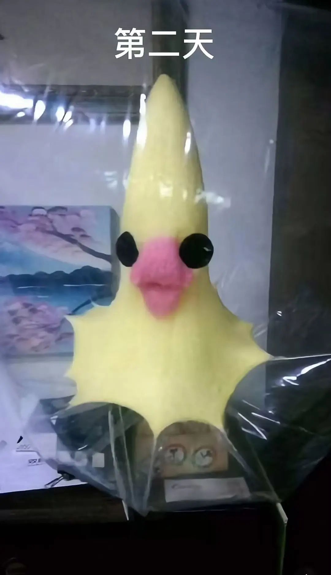 【爆笑】网友制作雨姐恋爱模拟器…？啊啊啊谁懂这个游戏的诡异程度（组图） - 53