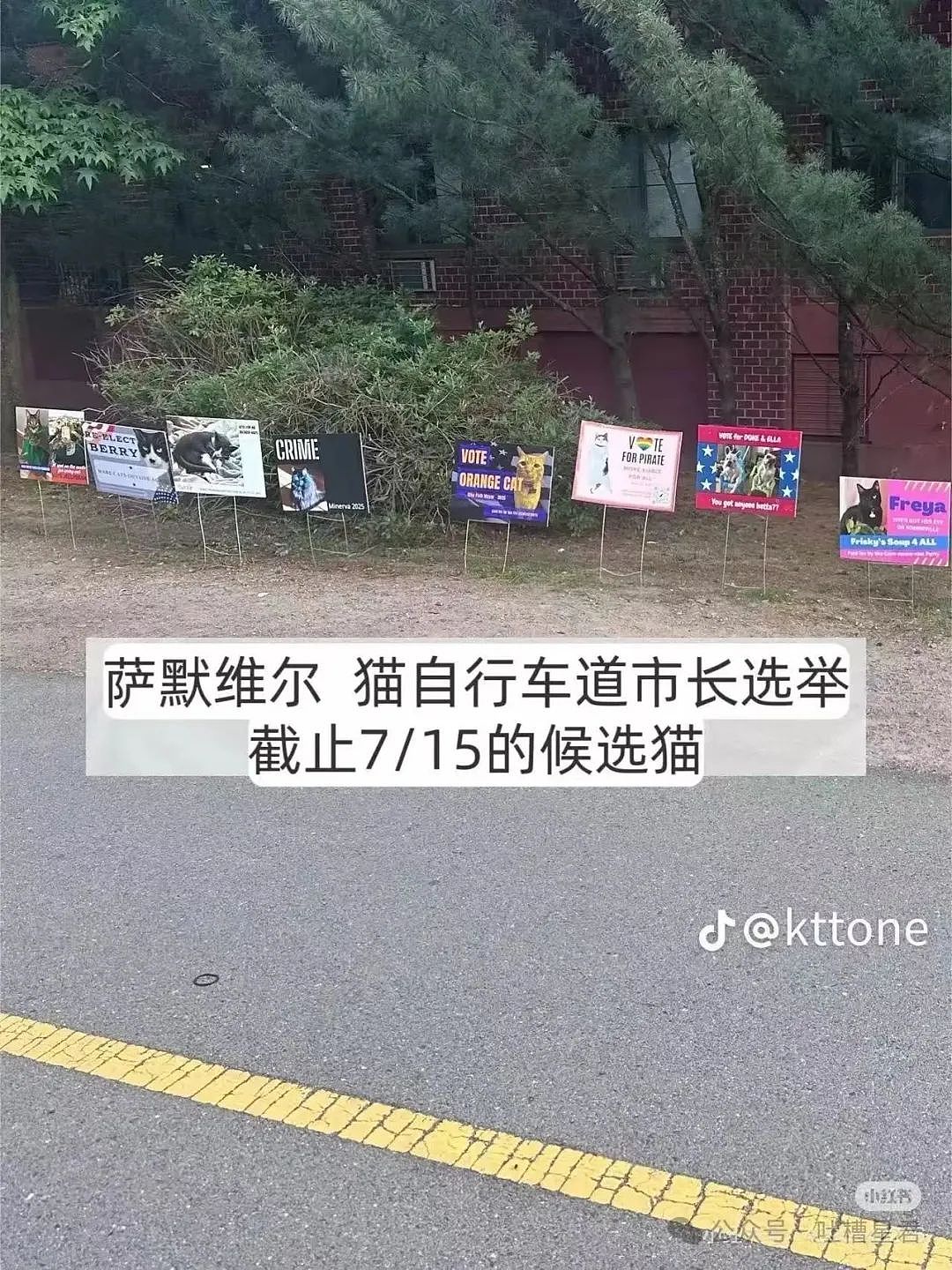 【爆笑】学历改成高中后HR求着我入职…？啊啊啊这就业环境我不李姐（组图） - 35