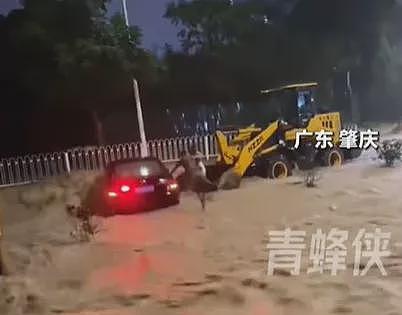 广东多地洪灾“如黄河滚滚”，汽车漂浮，水深及腰（组图） - 1