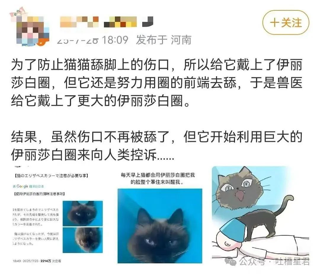 【爆笑】学历改成高中后HR求着我入职…？啊啊啊这就业环境我不李姐（组图） - 11