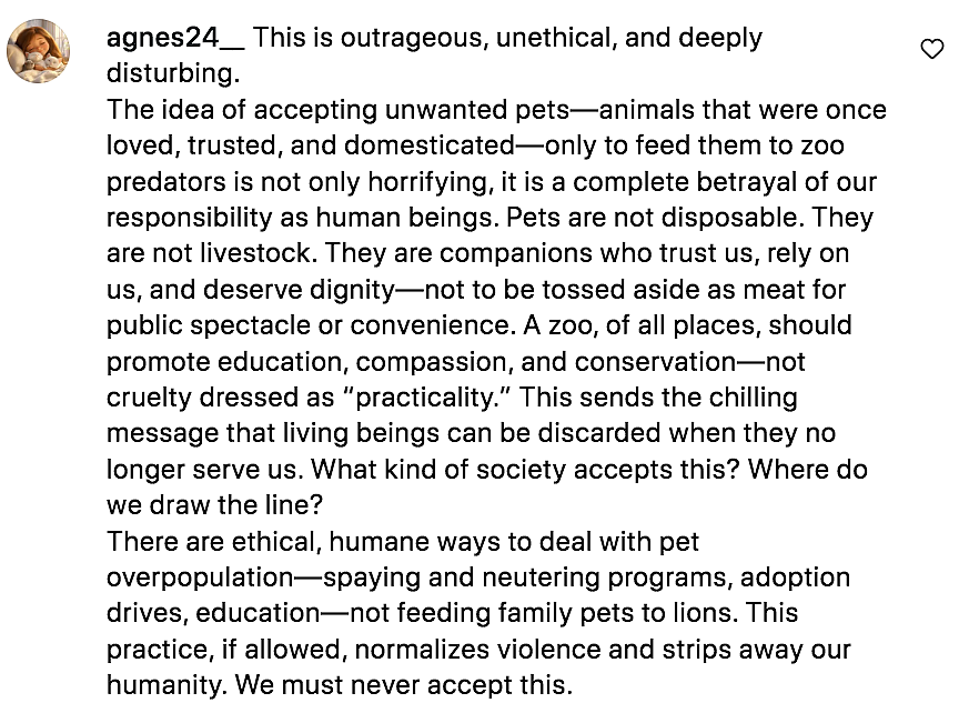 三观炸裂！丹麦动物园公开征集民众不要的宠物，给自家猛兽当食物！网友震惊怒怼…（组图） - 11