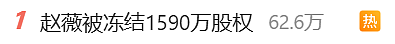 赵薇又出大事了!1590万股权遭冻结,70亿资产没了?背后还有更大秘密...(组图) - 7