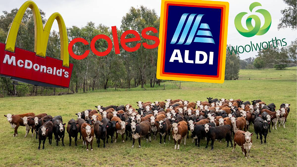 硬刚澳洲政府！Coles、WWS、麦当劳接连发声：拒绝美国货！（组图） - 2