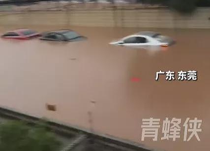 广东多地洪灾“如黄河滚滚”，汽车漂浮，水深及腰（组图） - 3