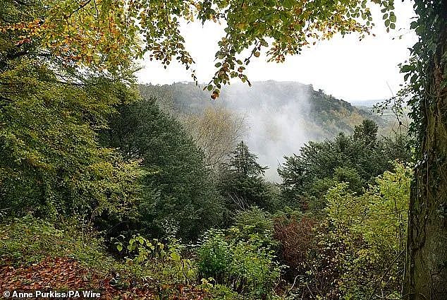 4.5万英镑打水漂！英国一对夫妇买地建小木屋，结果被判拆除，气哭了！（组图） - 6