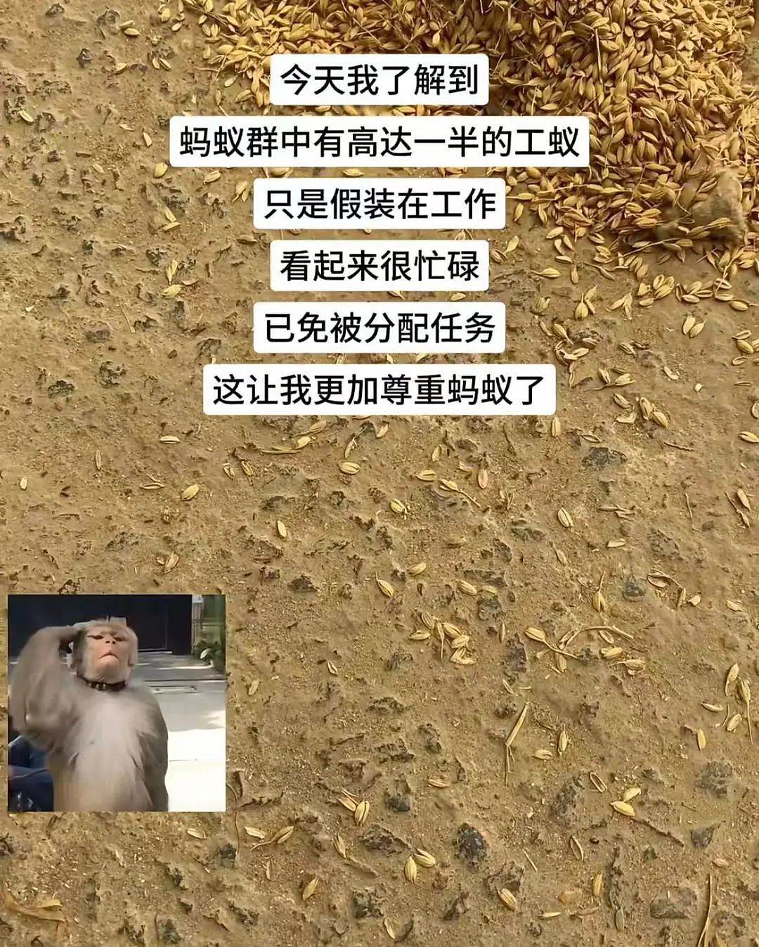 【爆笑】“男朋友把我拍成了山村老尸...？”哈哈哈男友拍照生死难料（组图） - 69