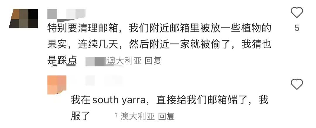 多名儿童在澳华人区“迷路”?疑为犯罪团伙“踩点”!警方:当心这些记号(组图) - 9