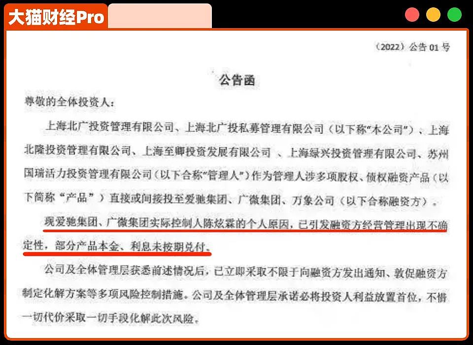 骗了300亿的隐秘富豪,跑路美国,会师贾跃亭……(组图) - 5