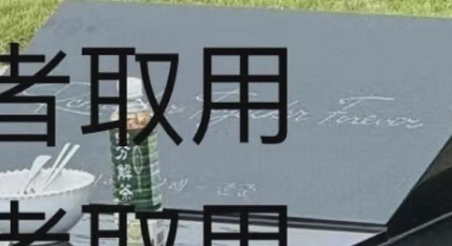 大S墓碑竟是无名碑！具俊晔把情侣纹身刻碑上，墓碑成爱情纪念品（组图） - 6
