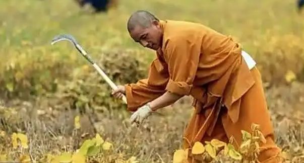 冲上热搜！新官上任，少林寺被爆大量和尚离职，释永信口碑逆转（组图） - 1