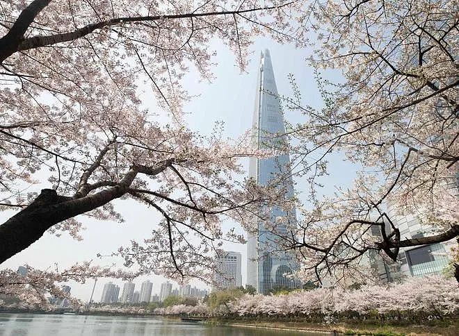 今天！华人好消息爆棚！旅游、出行、买房、看病都有！（组图） - 1