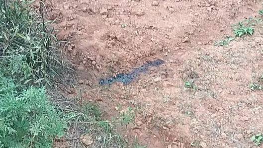 南昌农民农田如厕时遭枪击身亡！尸检报告揭：刚蹲下来就出事（组图） - 1