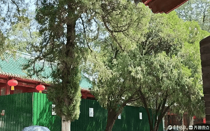 少林寺出现“离职潮”，有30多人离开？少林寺回应（组图） - 4