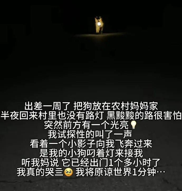 【爆笑】“找网友求助遇到小学生后.....”哈哈哈哈哈哈整的还挺专业(组图) - 46