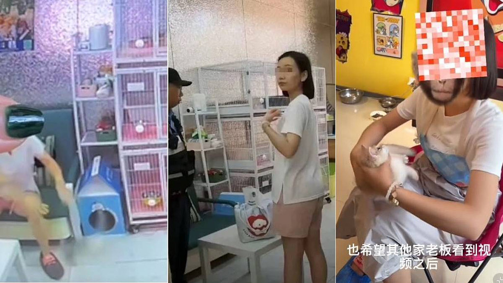 沈阳女子“心情不好”虐猫变态视频曝!猫咖:4只奶猫遭残虐致死(视频/组图) - 1