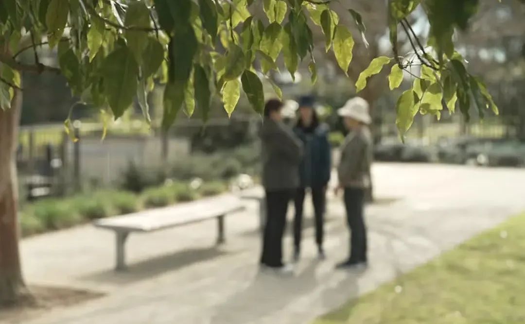 7名华人嫌犯澳洲入境照公布！可能逃到新西兰，华超、中药房附近出现概率高（组图） - 5