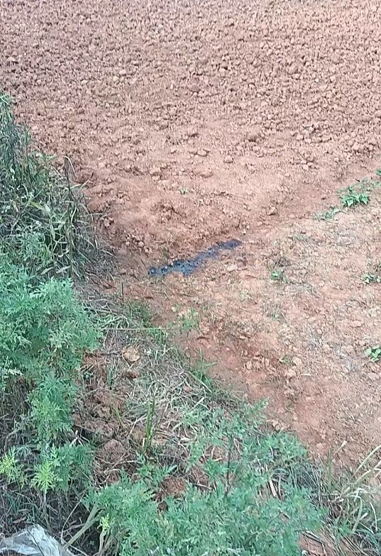 南昌农民农田如厕时遭枪击身亡！尸检报告揭：刚蹲下来就出事（组图） - 2