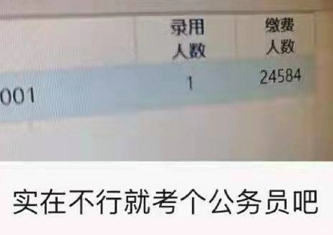 600多分上民办、报考公上岸率75%的专业！为了“毕业包分配”的准打工人，快把二本抢成清华北大了（组图） - 10
