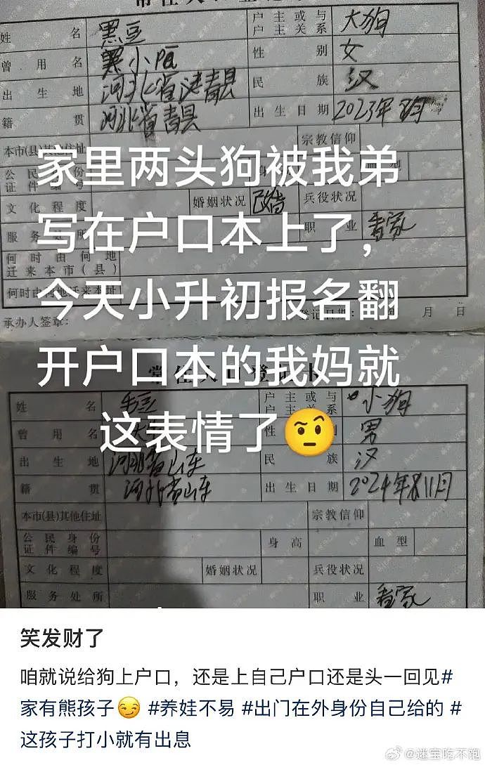 【爆笑】“找网友求助遇到小学生后.....”哈哈哈哈哈哈整的还挺专业(组图) - 20