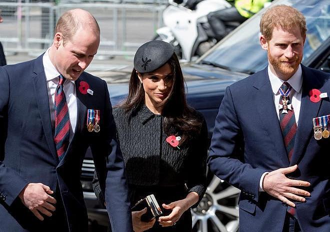 世纪婚礼变修罗场!密友婚礼邀请藏杀机,王室对哈里梅根开启猎杀(组图) - 6