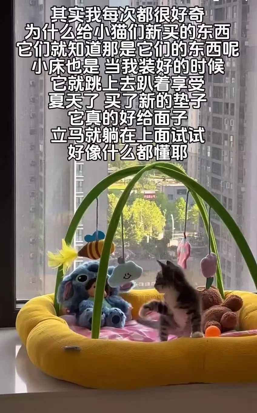 【爆笑】“男朋友把我拍成了山村老尸...？”哈哈哈男友拍照生死难料（组图） - 47