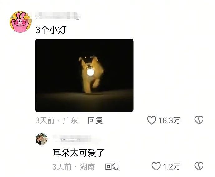 【爆笑】“找网友求助遇到小学生后.....”哈哈哈哈哈哈整的还挺专业(组图) - 48