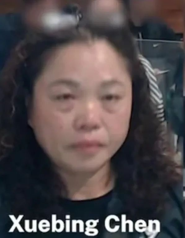 7名华人嫌犯澳洲入境照公布！可能逃到新西兰，华超、中药房附近出现概率高（组图） - 8