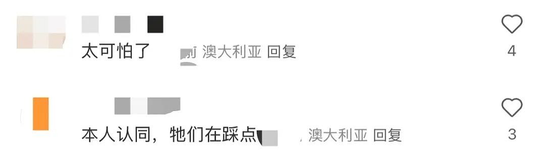多名儿童在澳华人区“迷路”?疑为犯罪团伙“踩点”!警方:当心这些记号(组图) - 5