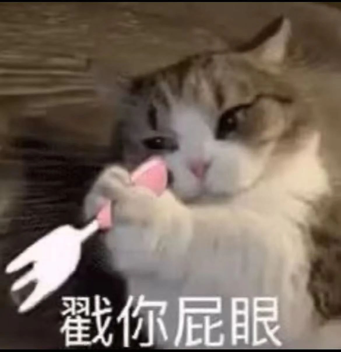 【爆笑】“男朋友把我拍成了山村老尸...？”哈哈哈男友拍照生死难料（组图） - 3