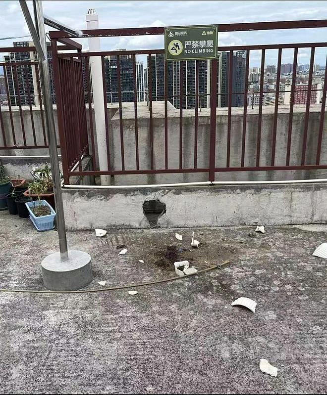 29岁女子疑被男友施暴后从25楼跳下，男友从事放贷行业（组图） - 3